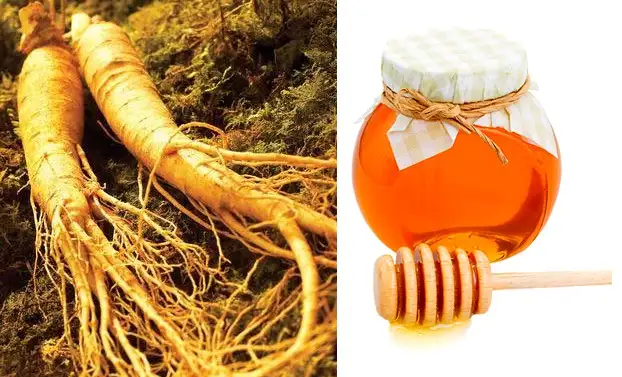 Cach Lam Sam Tam Mat Ong Nguyen Cu 4