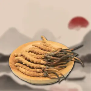 Cat Dong Trung Ha Thao