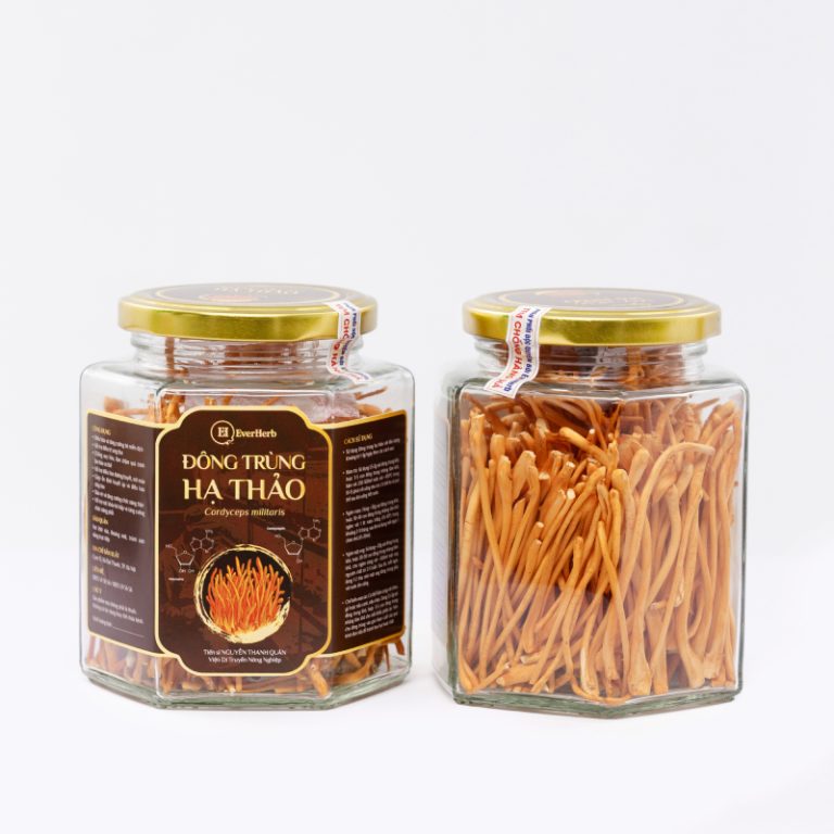 Dtht Soi Say Thang Hoa 4