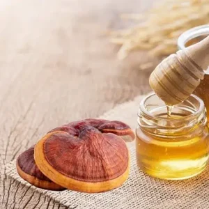 Huong Dan Cach Lam Nam Linh Chi Ngam Mat Ong 1