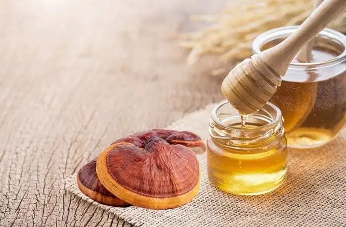 Huong Dan Cach Lam Nam Linh Chi Ngam Mat Ong 1