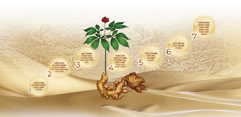 Quy Trinh Nghien Cuu Trong Sam 3